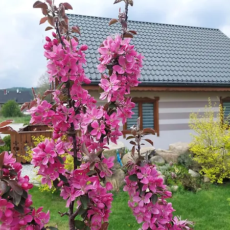 Domki U Justyny Podgorzyn Exterior photo
