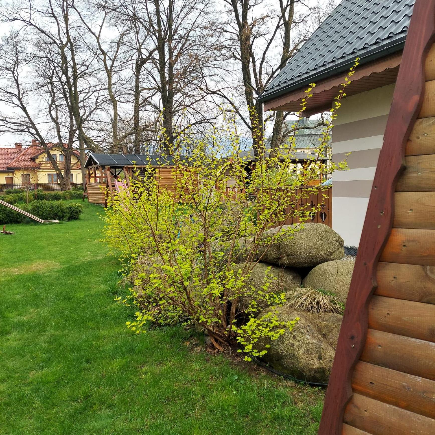 U Justyny Lodge